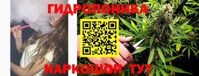 трава Славгород