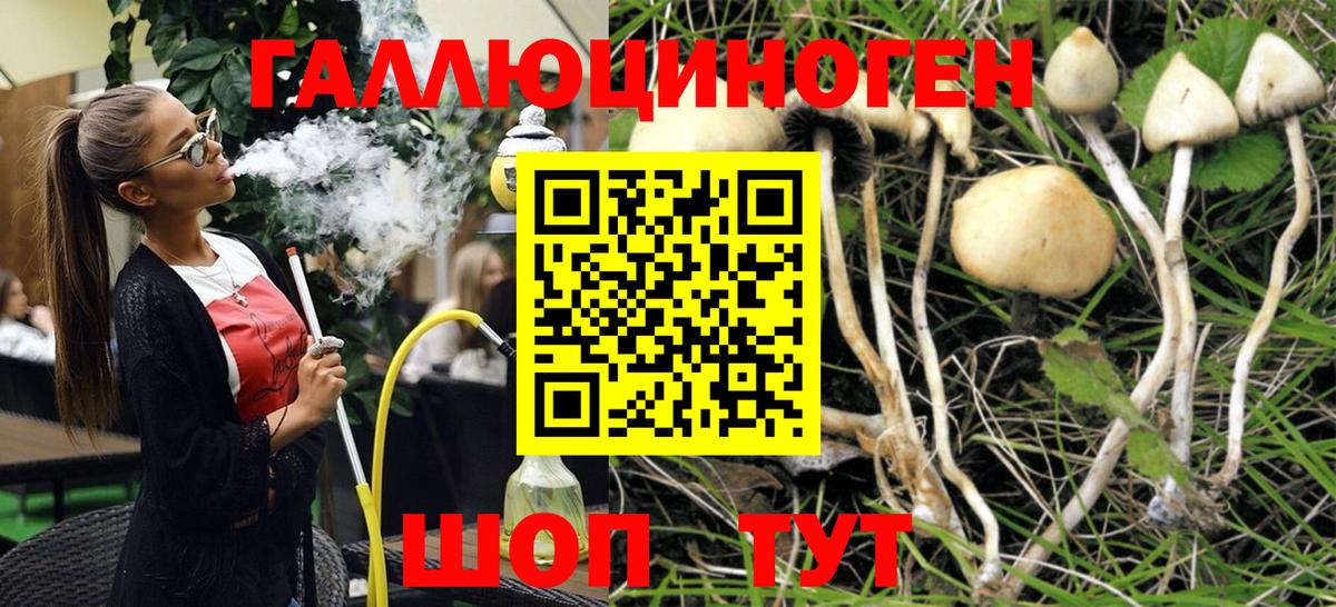 Новочеркасск  Галлюциногенные грибы Psilocybine cubensis  Галлюциногенные грибы MAGIC MUSHROOMS  Вход с VPN 